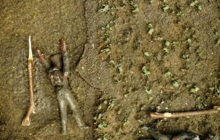 A body lies in a field filled with weeds and mud