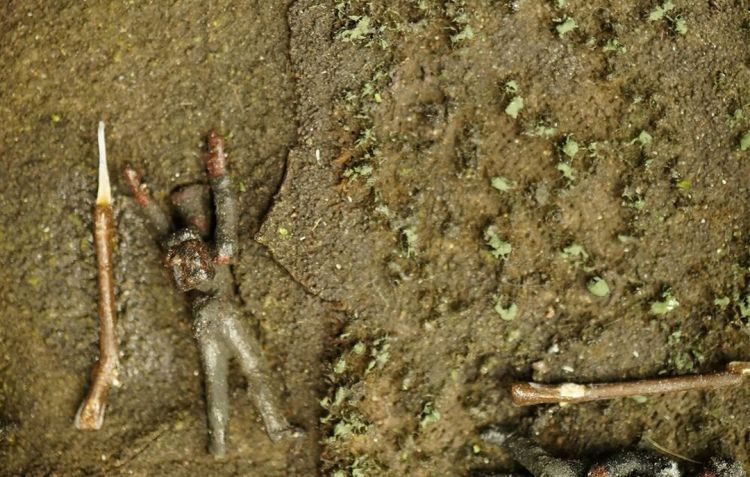 A body lies in a field filled with weeds and mud