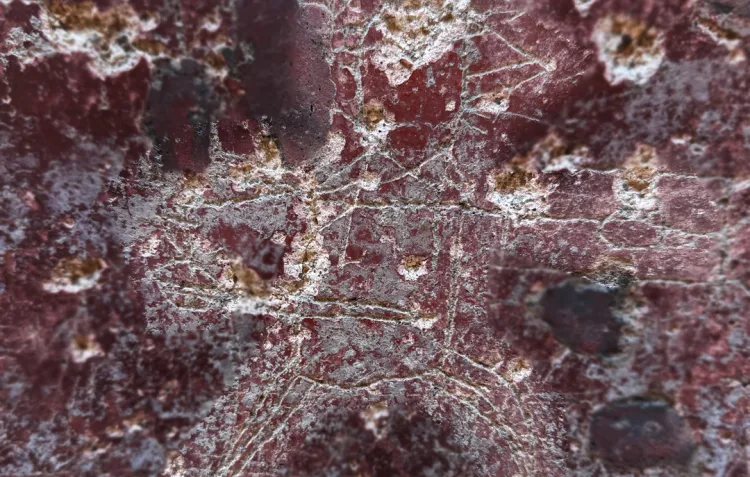 A highlighted image of a gladiator etched into a red wall in Pompeii