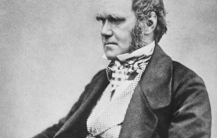 A black and white photograph of a seated man in a black coat, light coloured waistcoat and checked neckerchief, with impressive sideburns