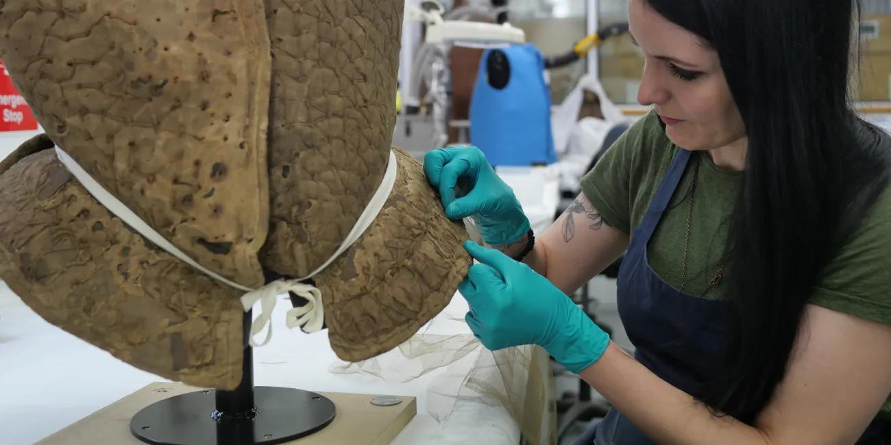 Woman carefully conserves the textile covering on a Tudor period armoured jacket
