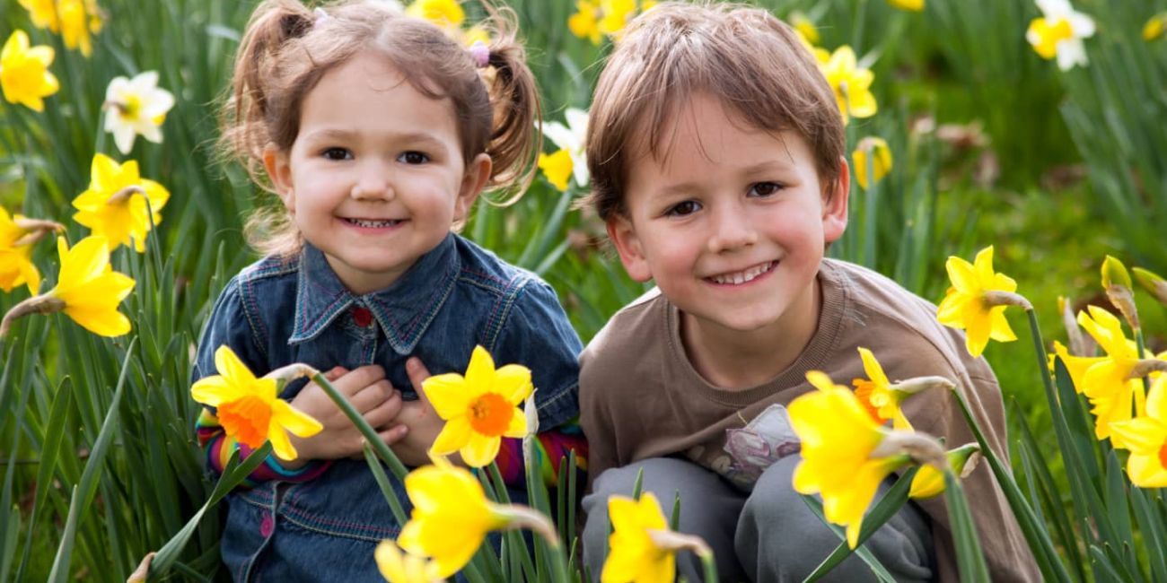 Two young children in a field of daffodils