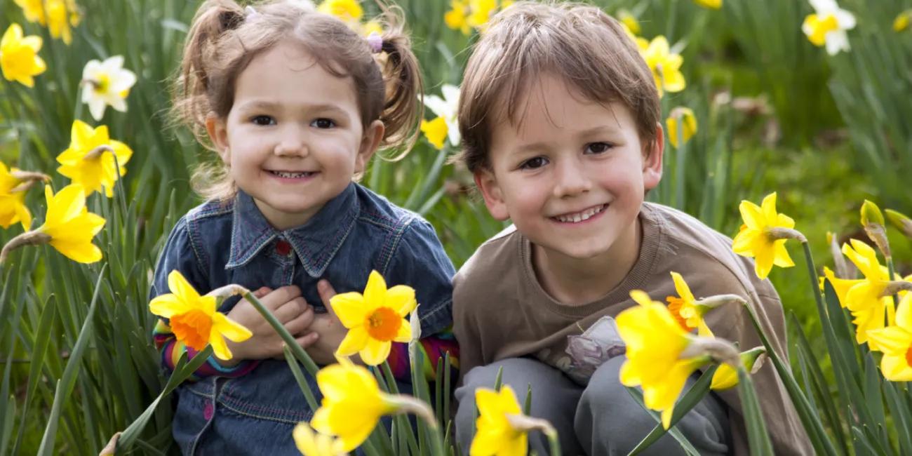 Young boy and girl in a field of daffodils