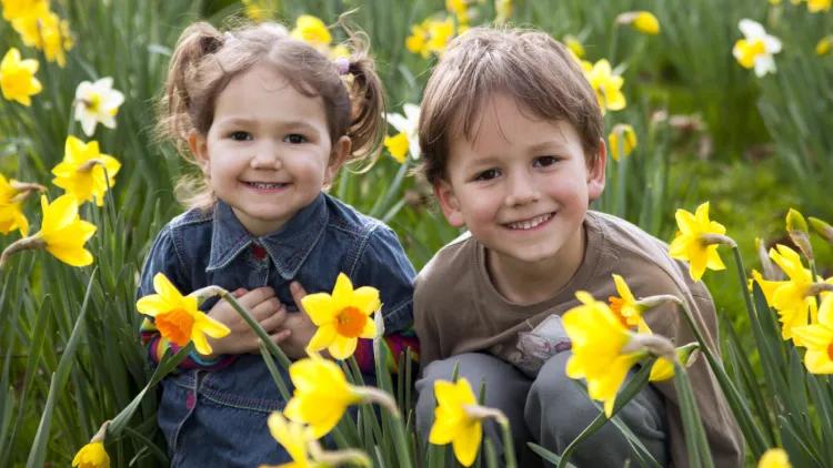 Young boy and girl in a field of daffodils