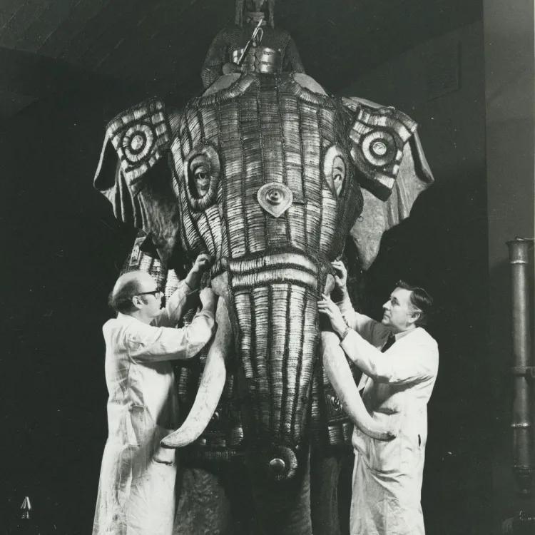Elephant armour 