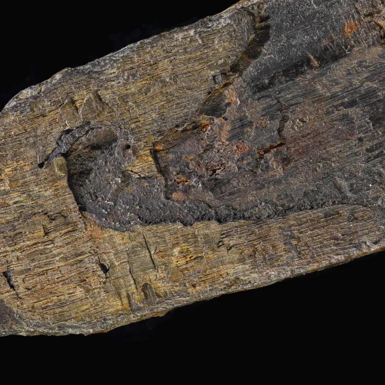 A rusty medieval sword 