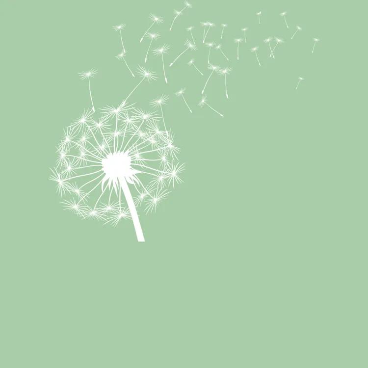 Illustration of Dandelion with seeds blowing away light green background