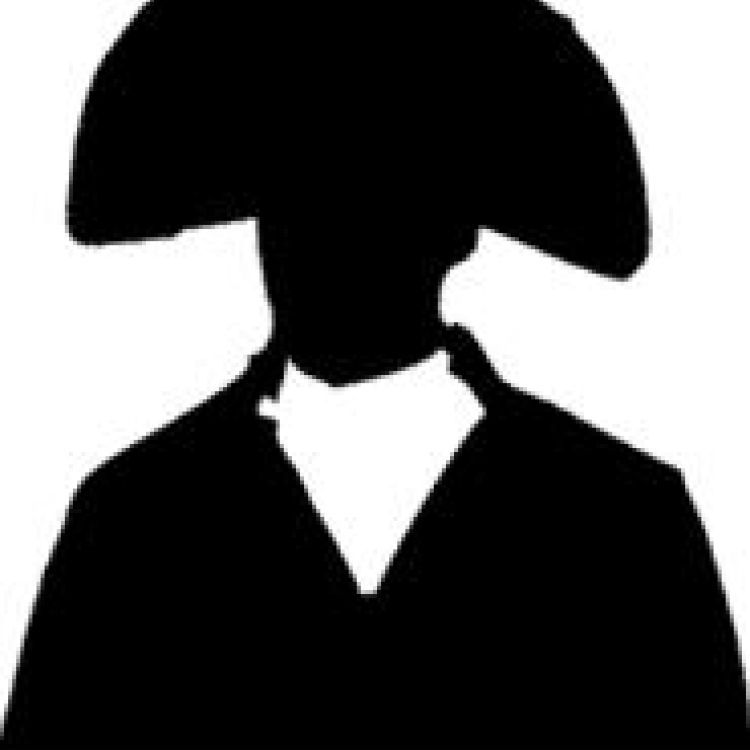 A silhouette of a French General during the Napoleonic War