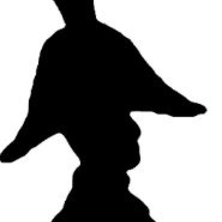 A silhouette of an army general