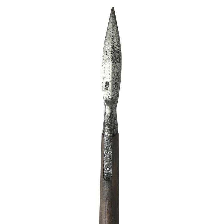 Leaf shaped metal pike head mounted on wooden haft