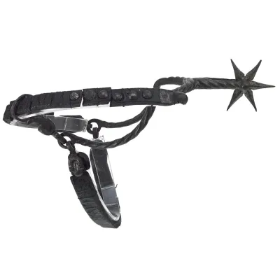 Spur for the left foot with a six-pointed rowel, retaining it's original hooked tabs, buckle and leather straps