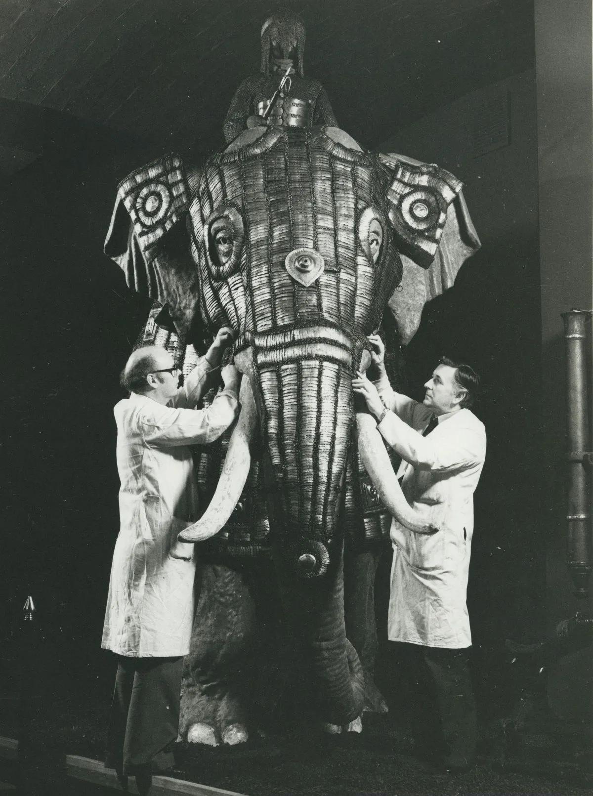 Elephant armour 