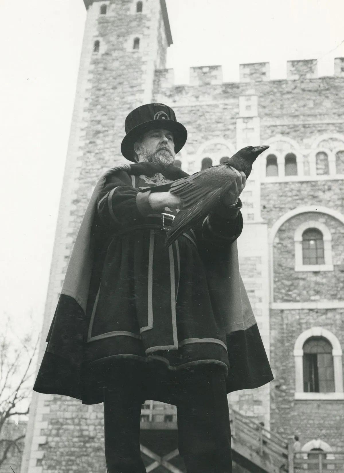 A ravenmaster holding a raven