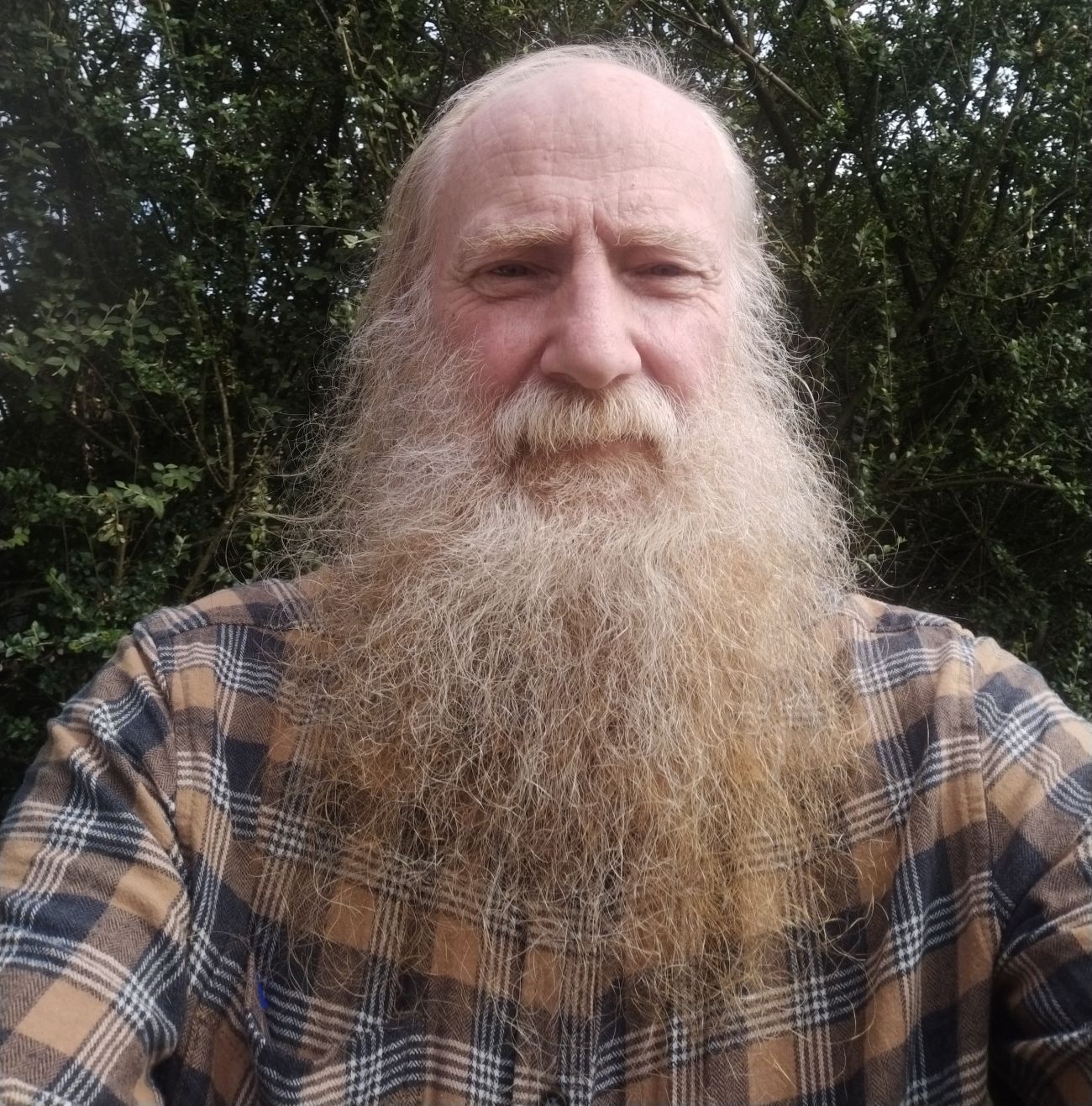 White middle aged man with long beard