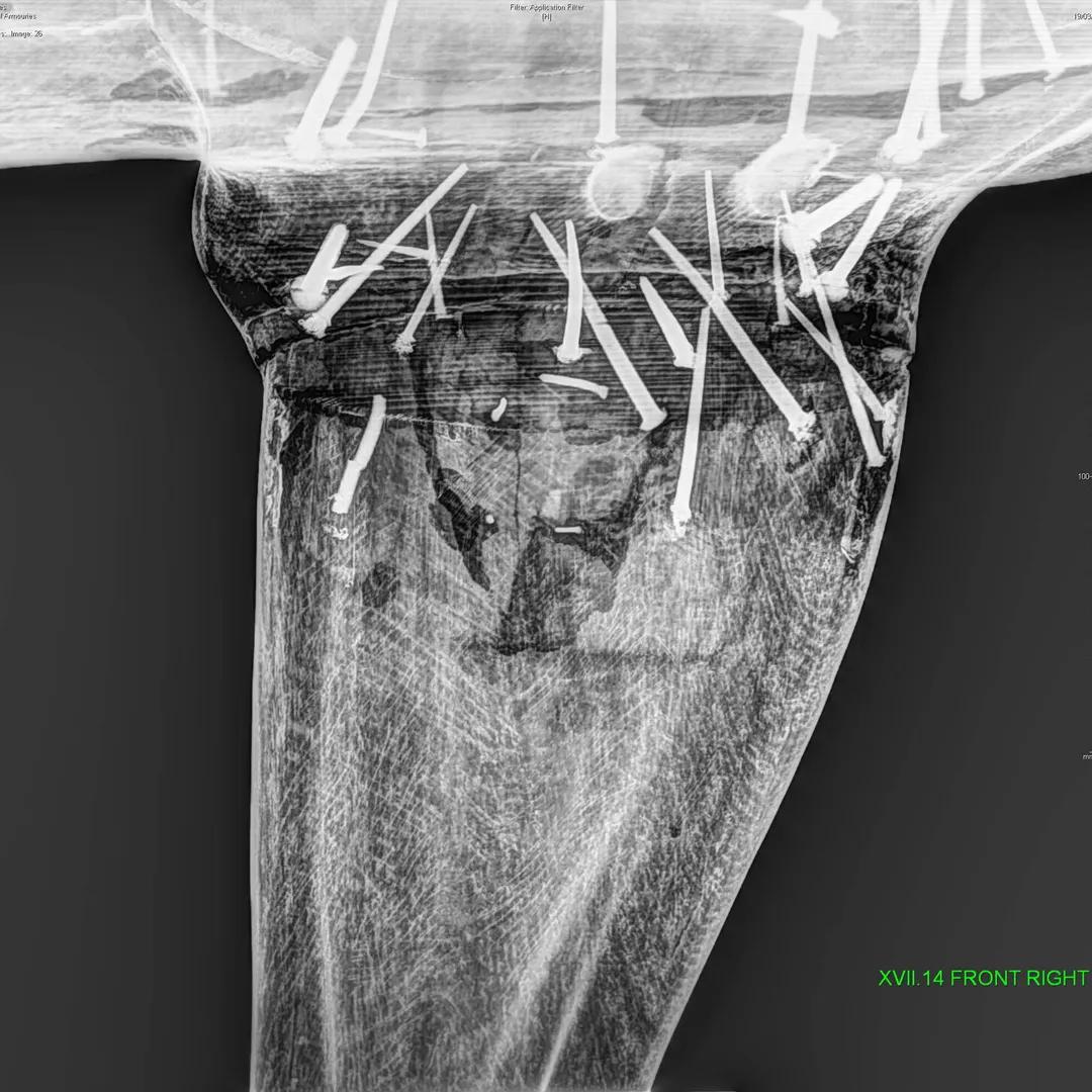 X-ray photo of the inside of a wooden horse leg with nails visible