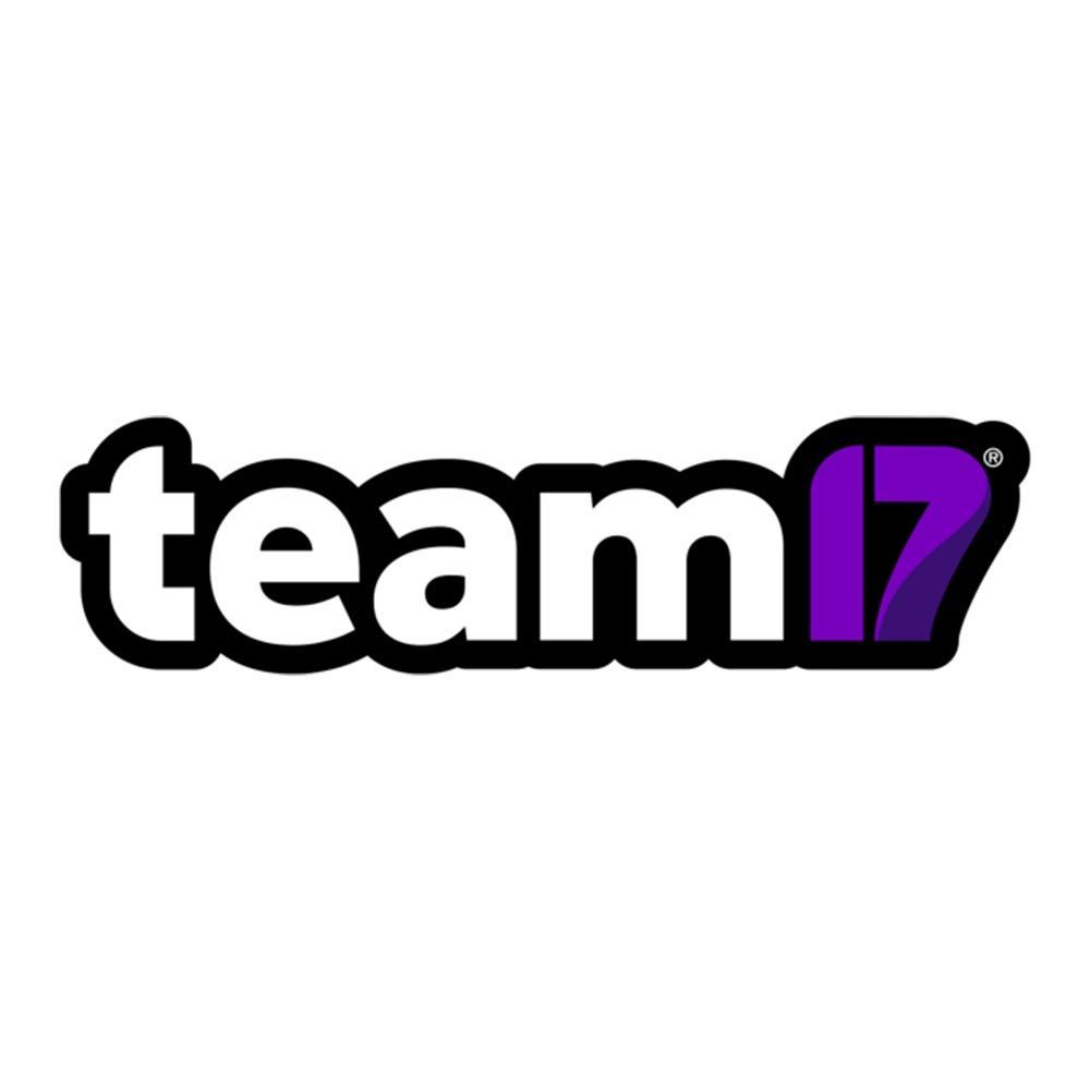 Team 17 Logo