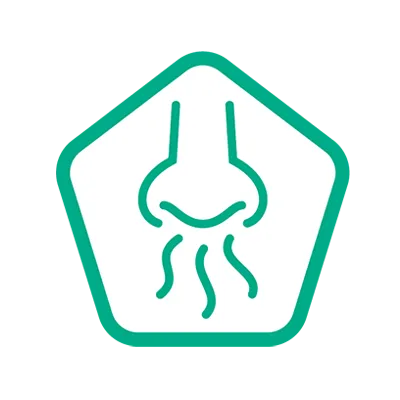 A green line icon of a nose with wavy lines below it, indicating smell, within a green pentagonal border