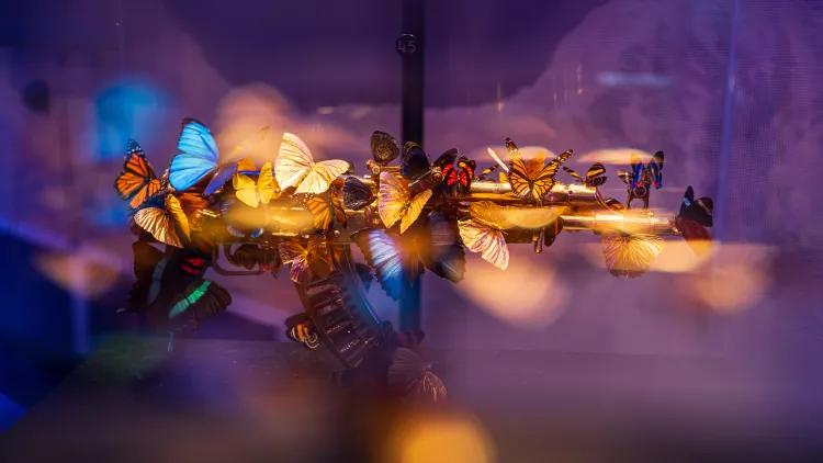 AK47 rifle decorated with many different coloured butterflies